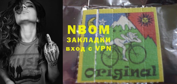 сатива Няндома