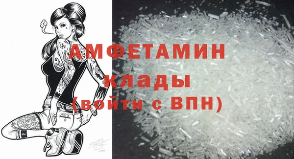 сатива Няндома