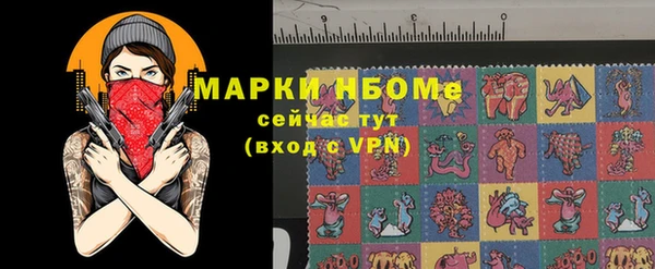 сатива Няндома