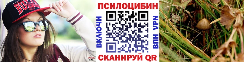 Псилоцибиновые грибы Psilocybe  Урень 